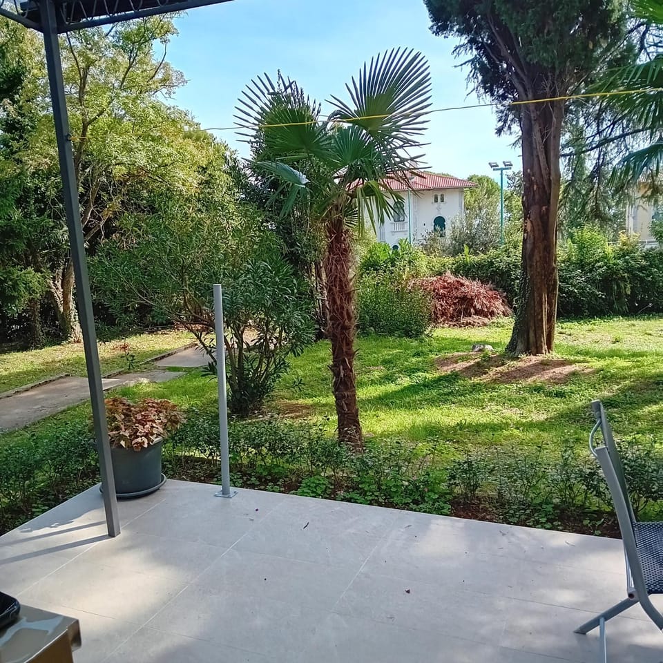 Day, Natural landscape, Garden, Garden view