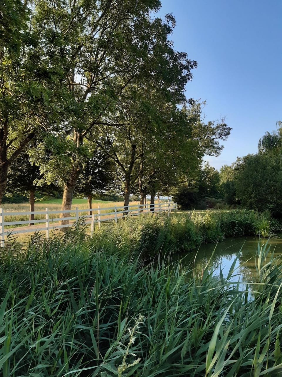 Mini-lejlighed med køkken - deler bad og toilet med nabolejlighed 1 Apartment in Region of Southern Denmark