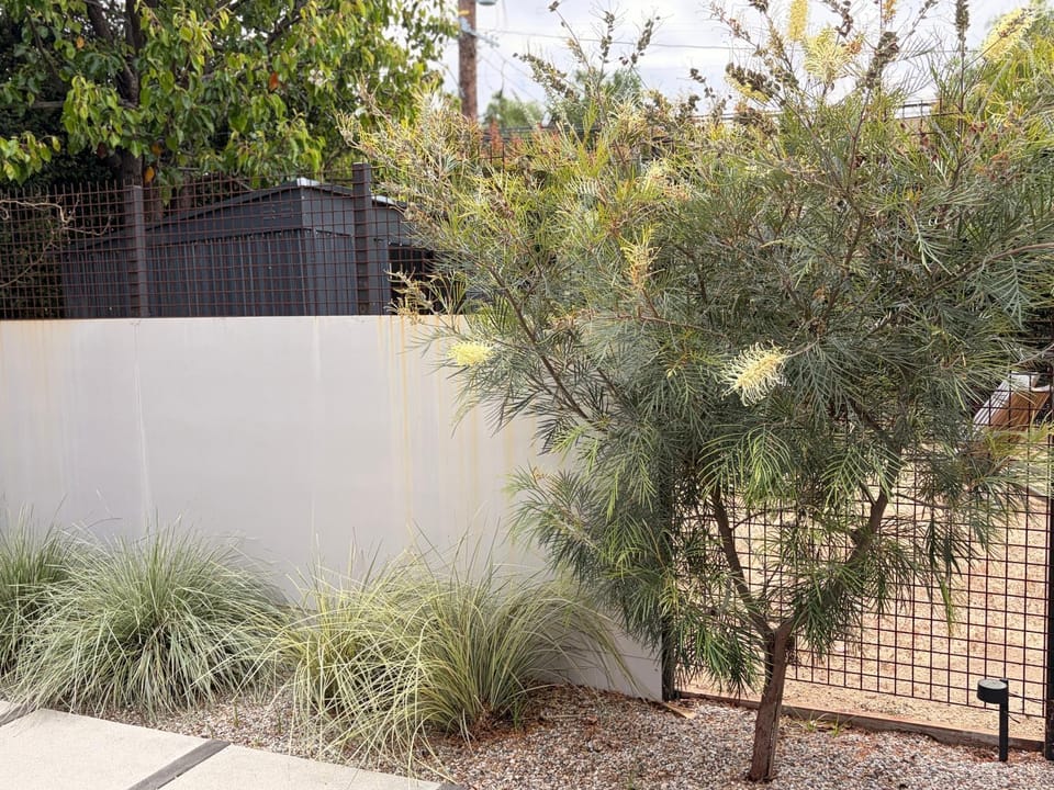 Garden view