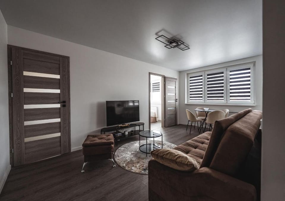 Feliz Stay Apartment in Lithuania