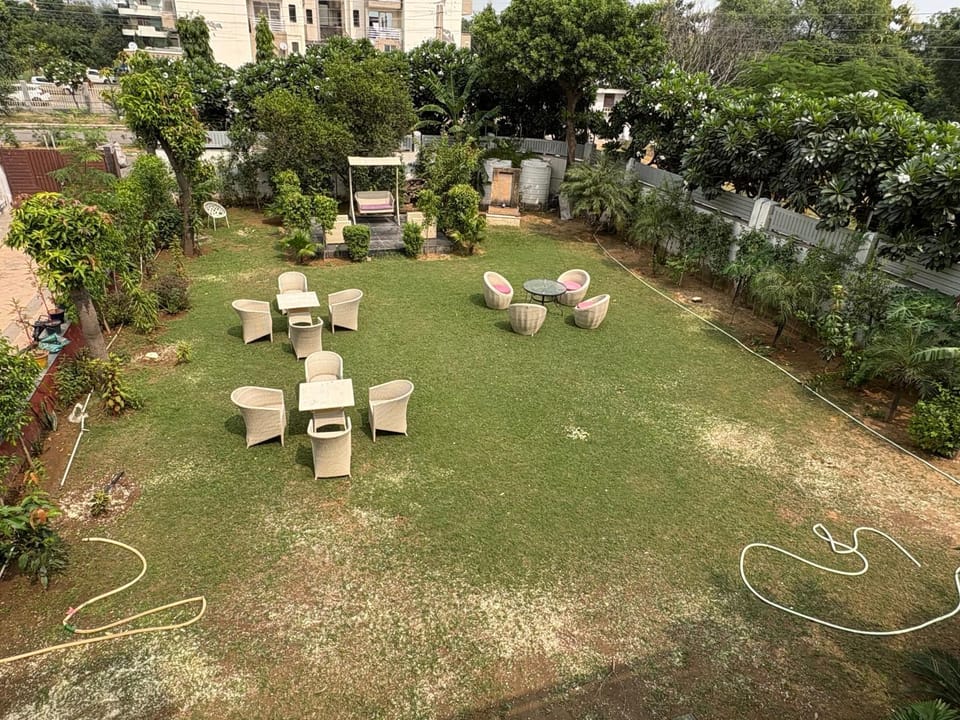 Garden