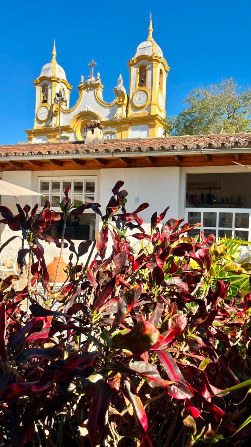 Garden, Garden view