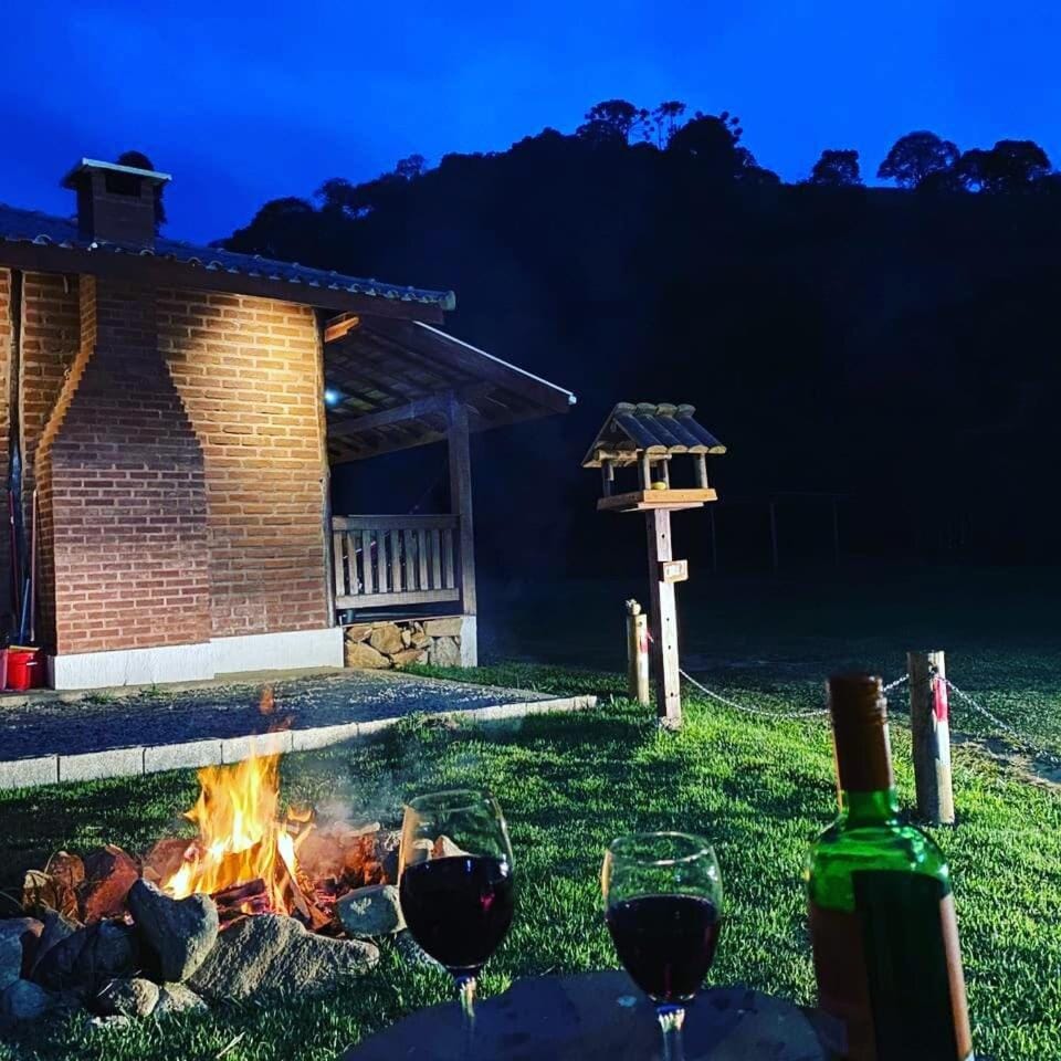 Night, Natural landscape, Drinks