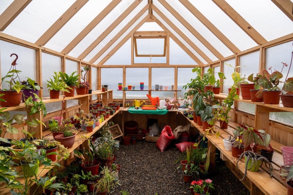 Garden view