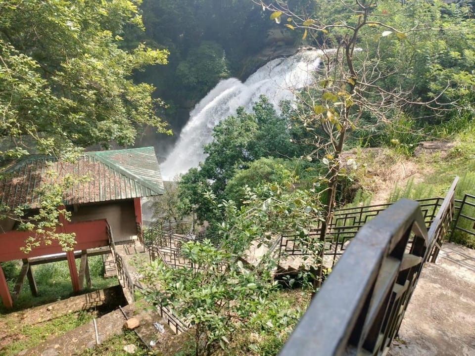 Day, Natural landscape, Garden view, River view