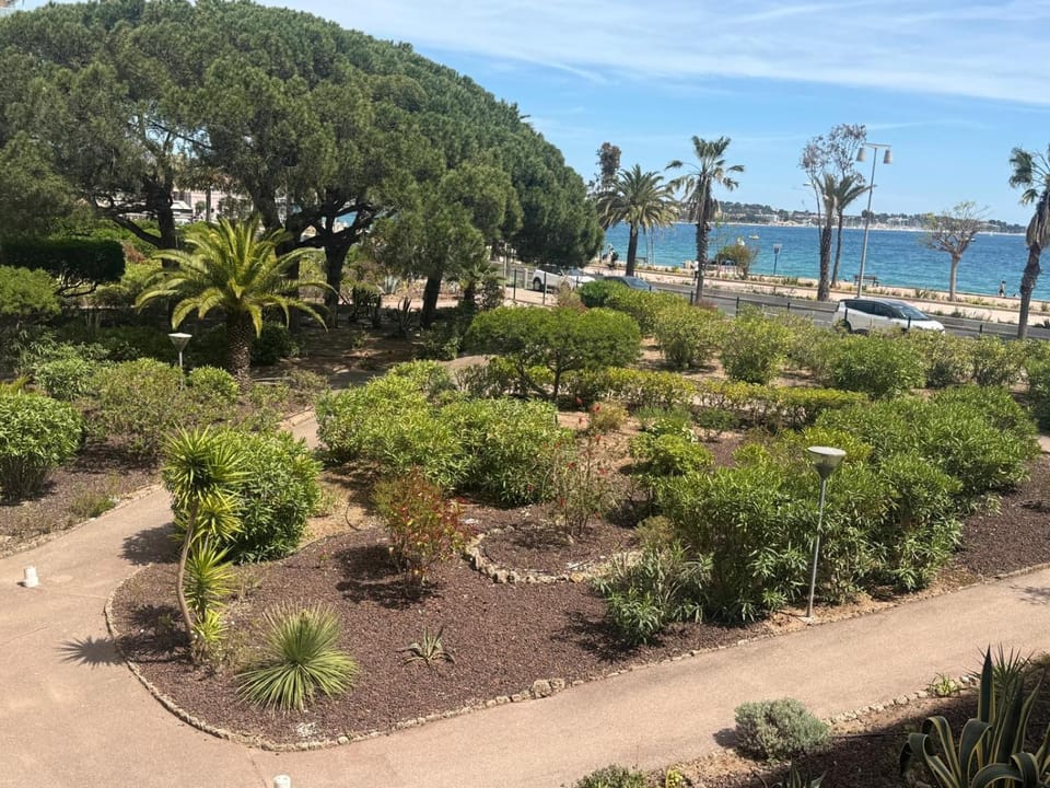 Garden view