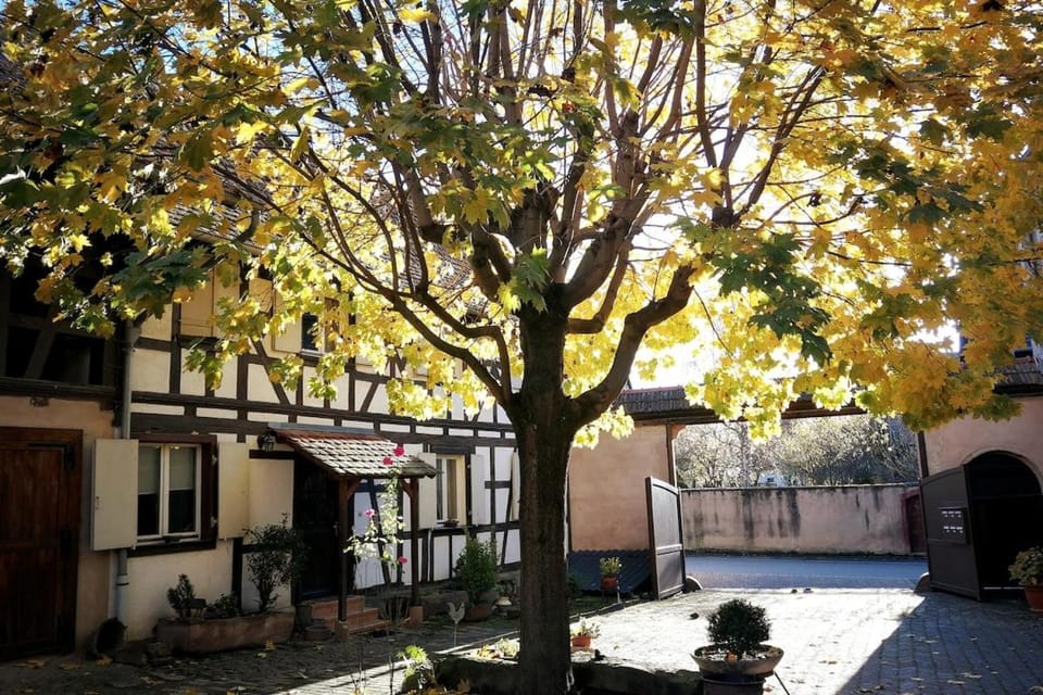 Gîte Maison alsacienne Chez Mamema - Alsace - 15km Nord Strasbourg House in Grand Est