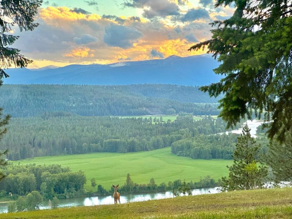Natural landscape, Mountain view, River view