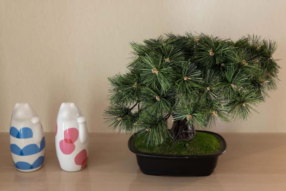 Sumo Stay Hirai - Your Local Home in Tokyo House in Japan