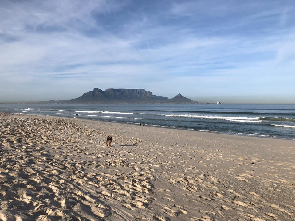 Cape on Porterfield Apartment in Cape Town