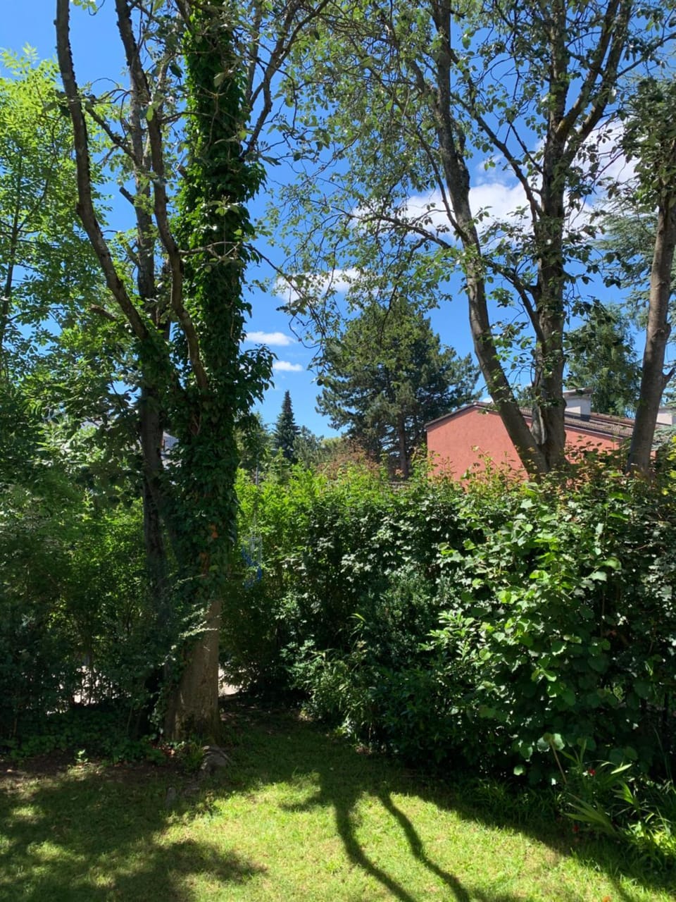 Garden, Garden view