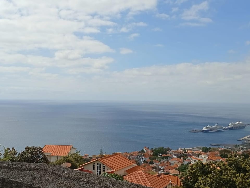Geovanny house House in Funchal