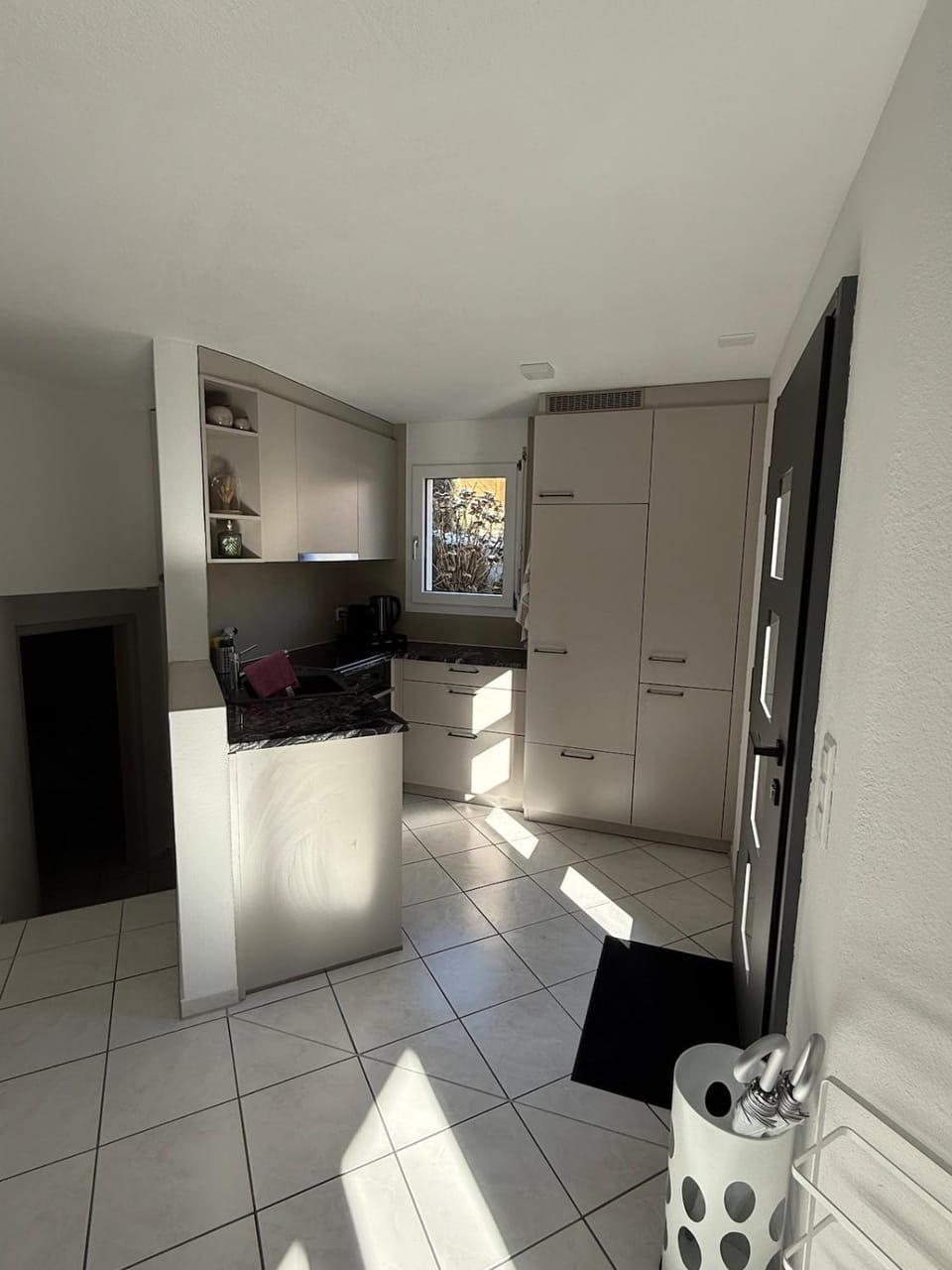Kitchen or kitchenette, dishwasher, oven