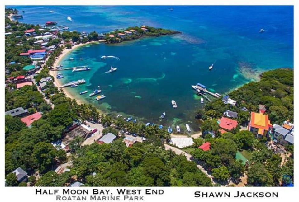 Bird's eye view, Beach