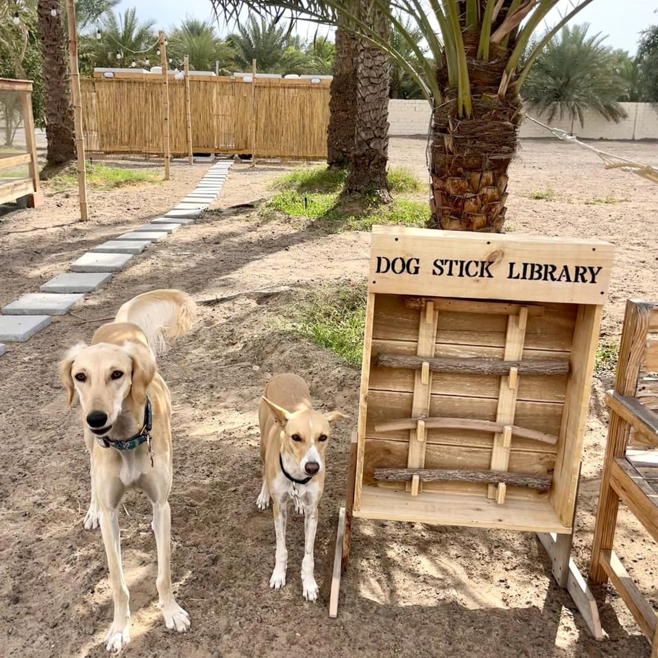 Pets, pet friendly
