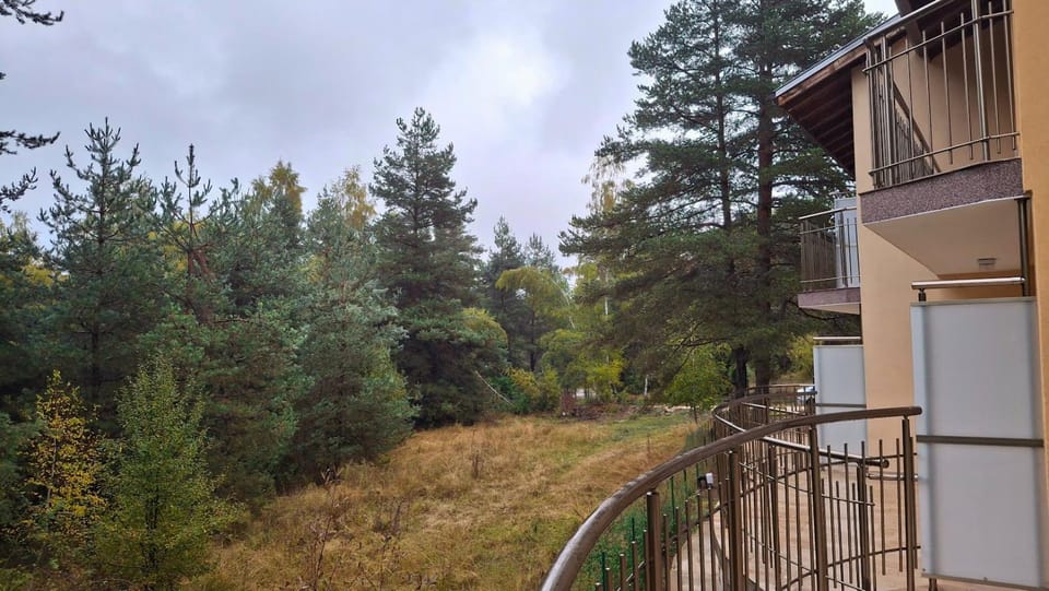 View (from property/room), View (from property/room)