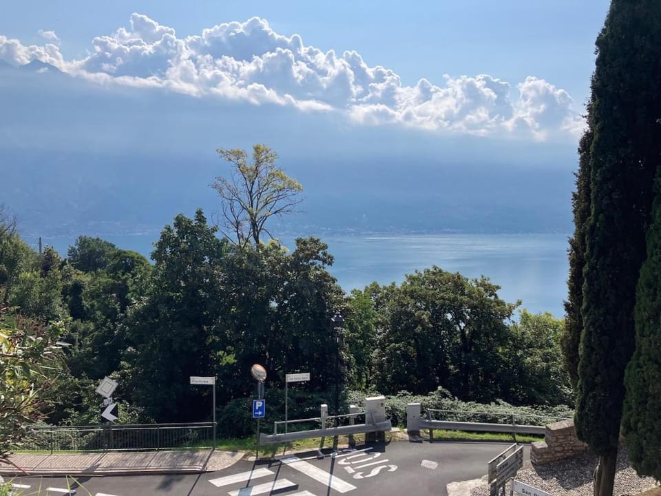 Lake view
