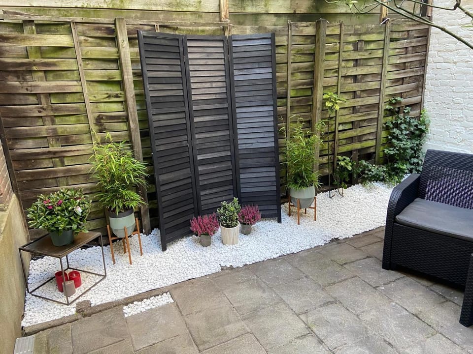 Patio, Day, Garden, Garden, Garden view