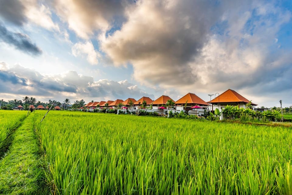 Property building, Spring, Day, Natural landscape