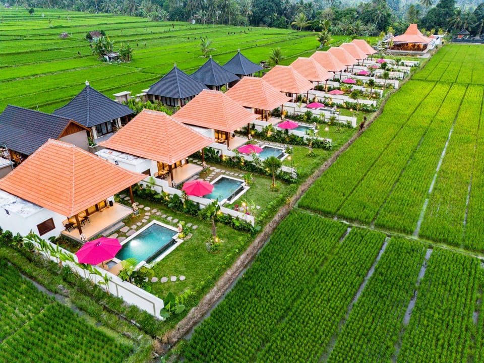 Garden, Garden view, Swimming pool