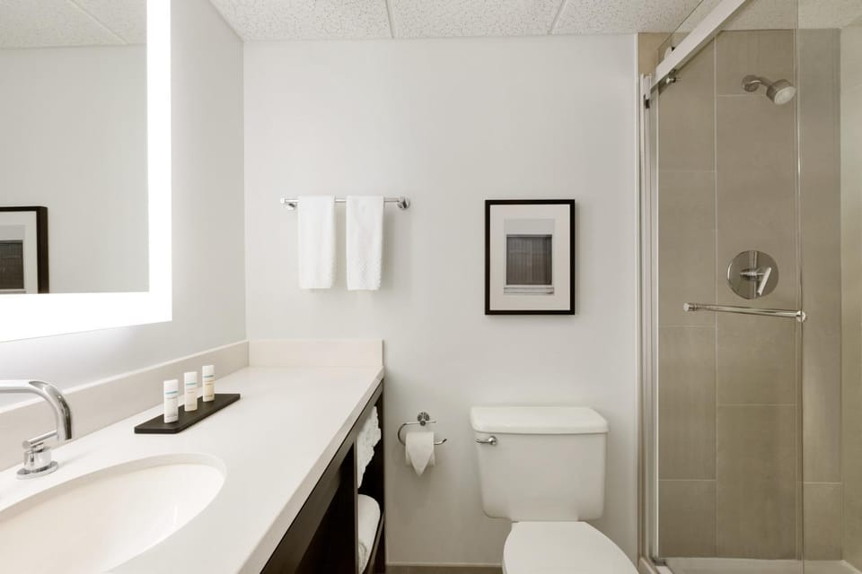 Modern Two-Room Suite with Gym and Pool Apartment in Boca Raton