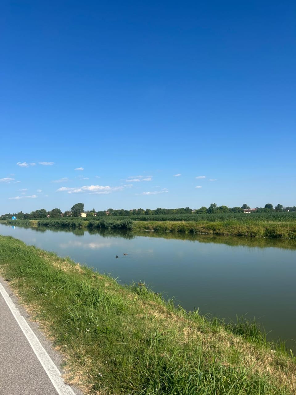 Natural landscape, River view