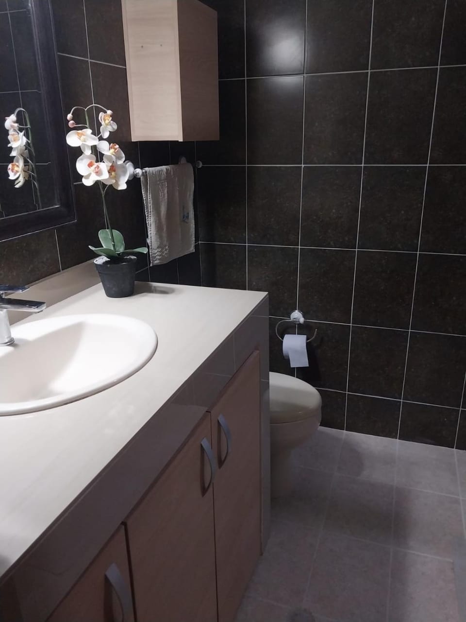 Toilet, Bathroom