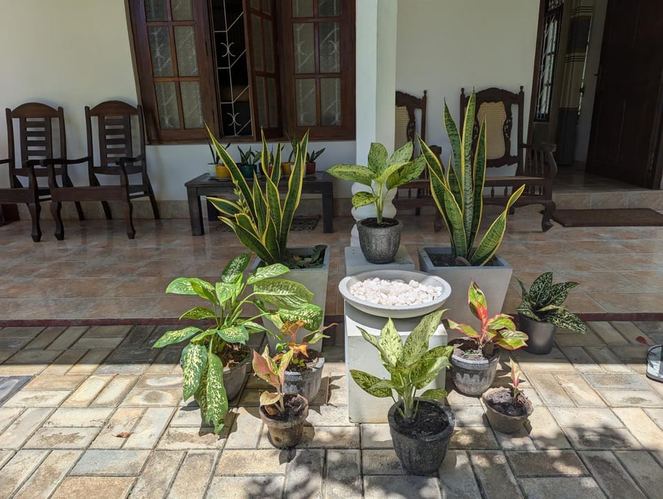 Green Villa Kamburugamuwa Apartment in Kamburugamuwa