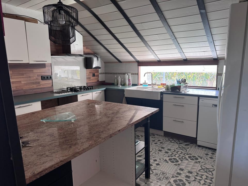 dishwasher, oven, stove