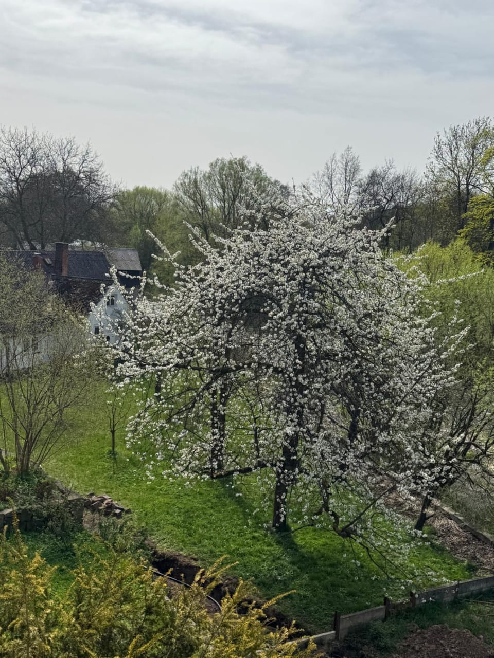 Slunečná roubenka u splavu House in Czechia