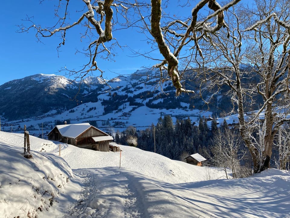 Winter