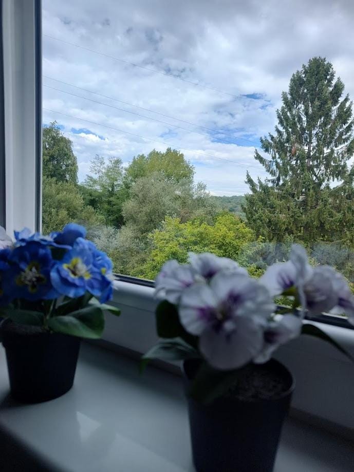 View (from property/room)