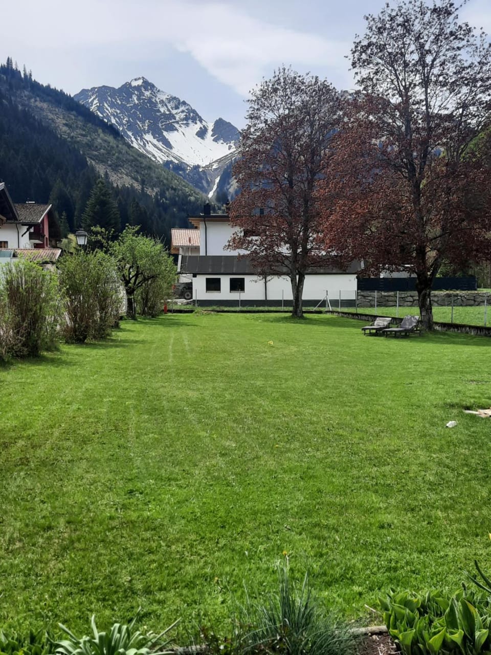 Spring, Garden
