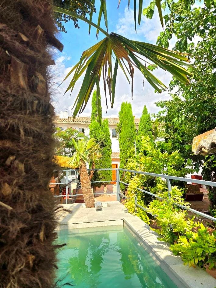 Garden view, Swimming pool