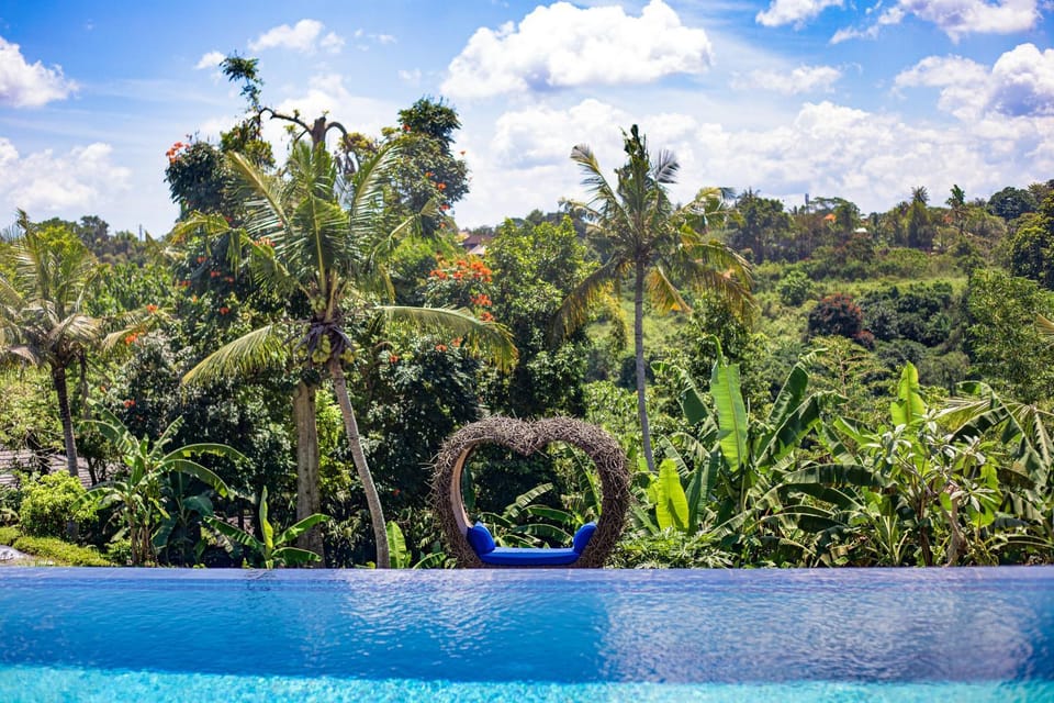 Garden, On site, Swimming pool
