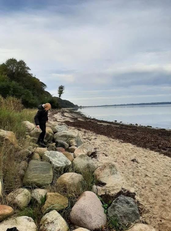 Mini-lejlighed med køkken - Deler bad og toilet med nabolejlighed 4 Apartment in Region of Southern Denmark