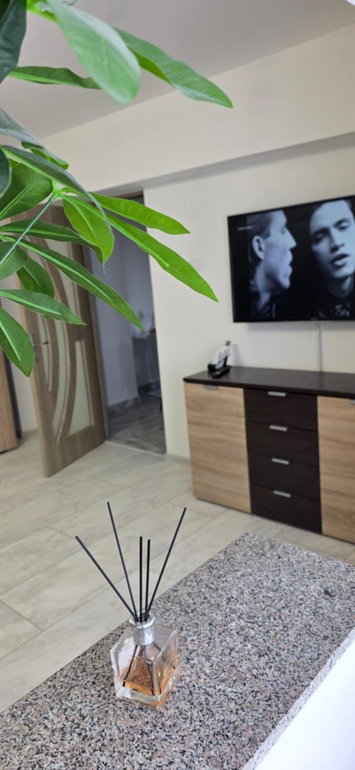 Studio Central Brancusi Apartment in Romania