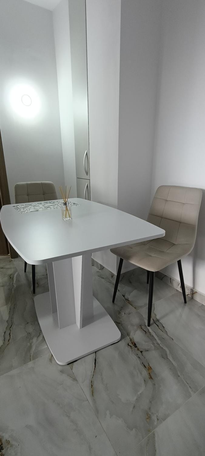 Studio Central Brancusi Apartment in Romania