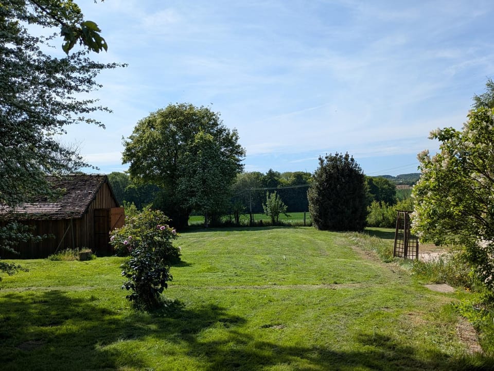 Natural landscape, Garden, Garden view