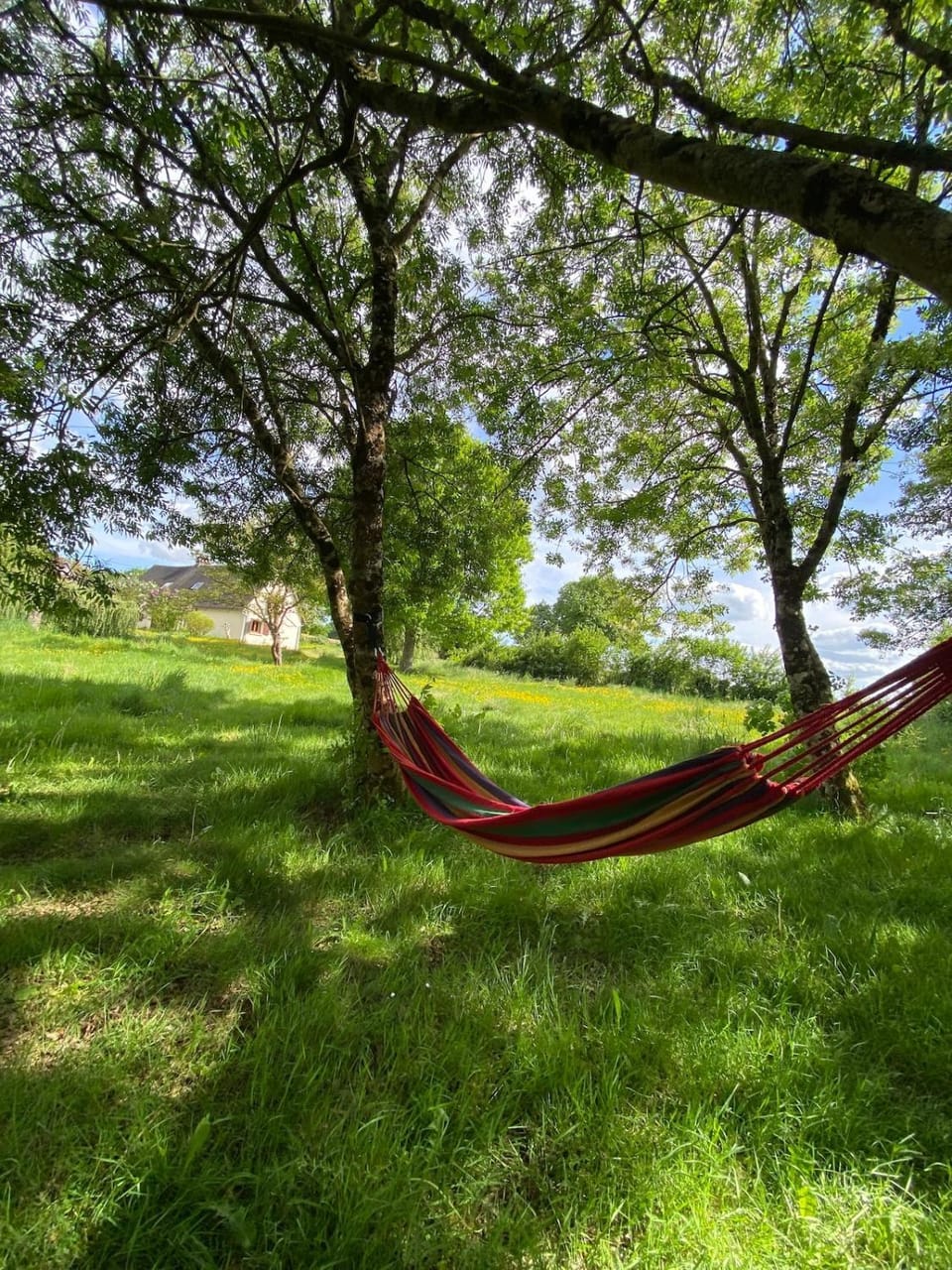 Natural landscape, Garden