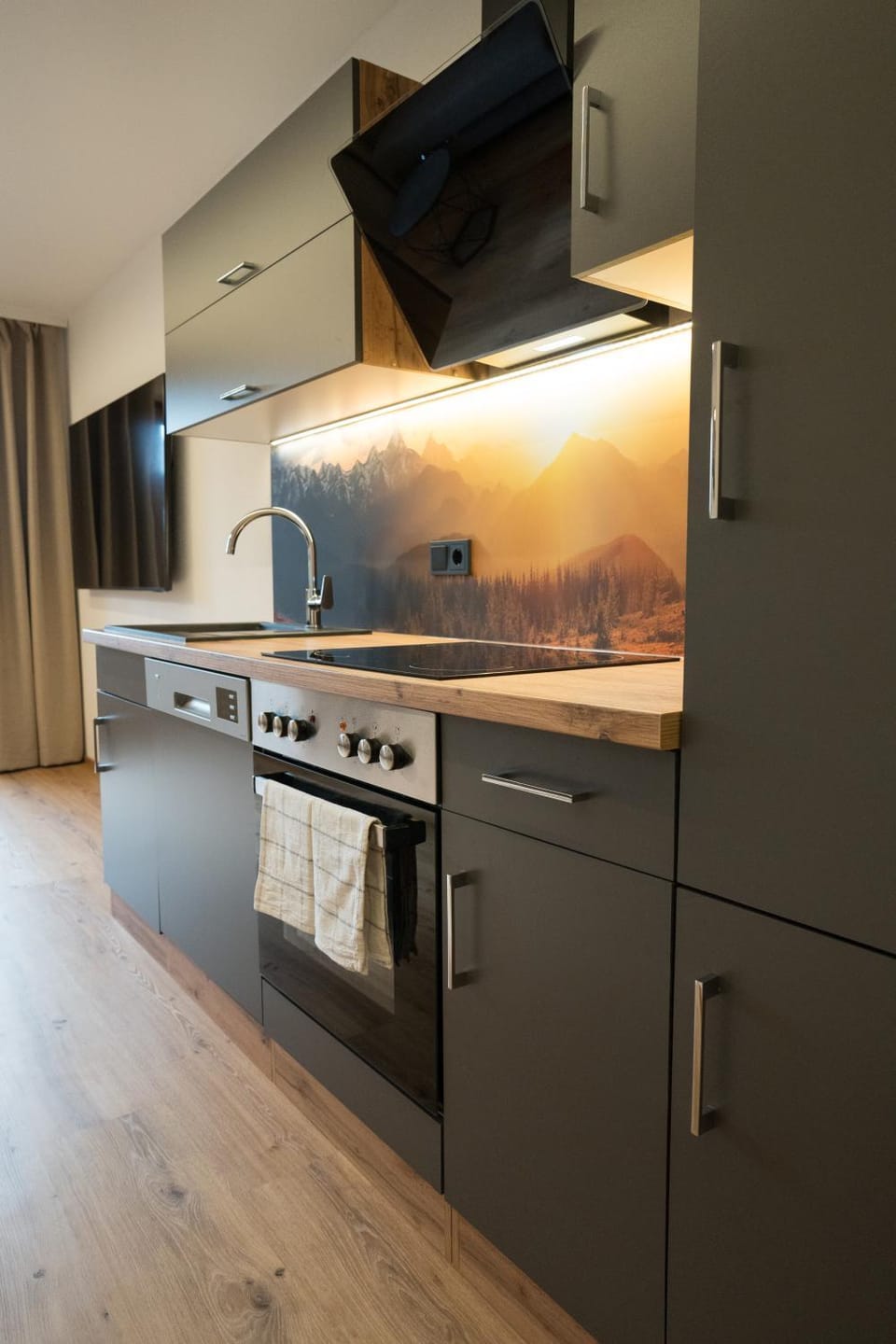 Kitchen or kitchenette, dishwasher, stove