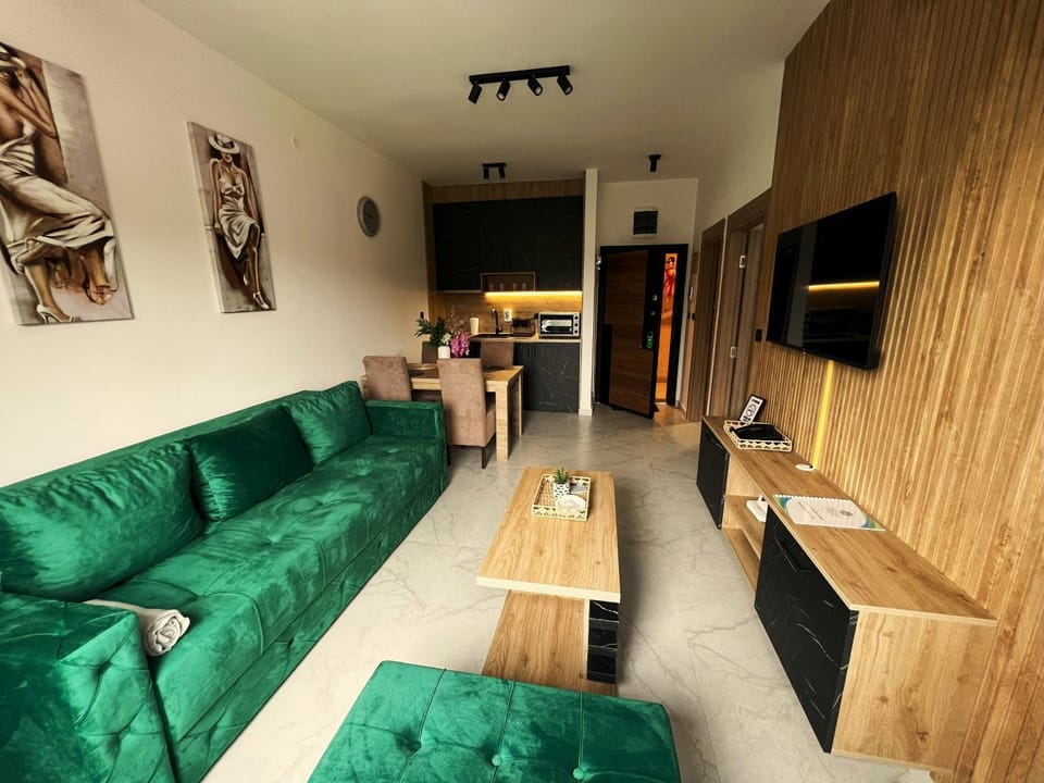 TV and multimedia, Kitchen or kitchenette, Living room, Seating area, Evening entertainment