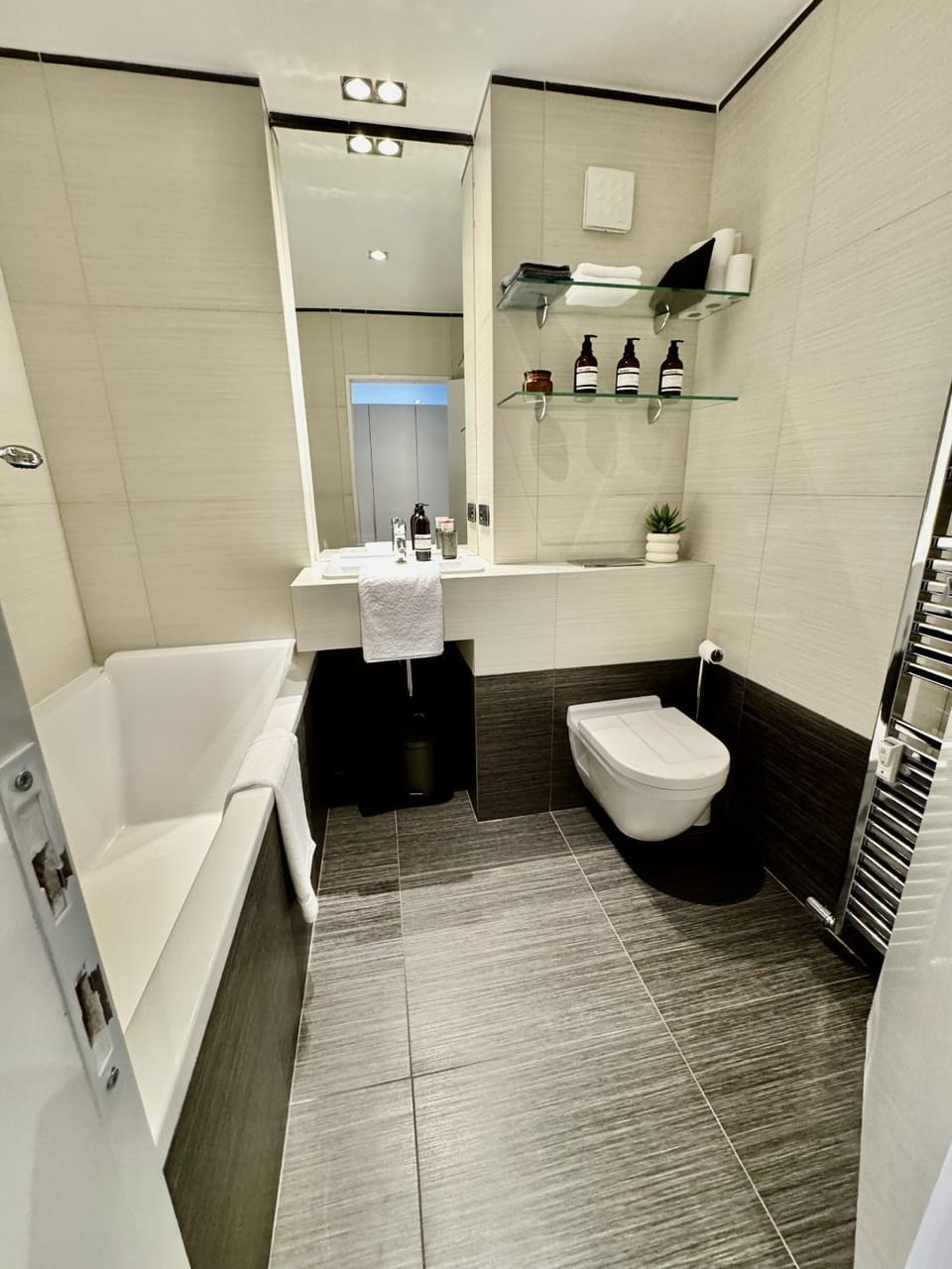 Bathroom, hair dryier, towels