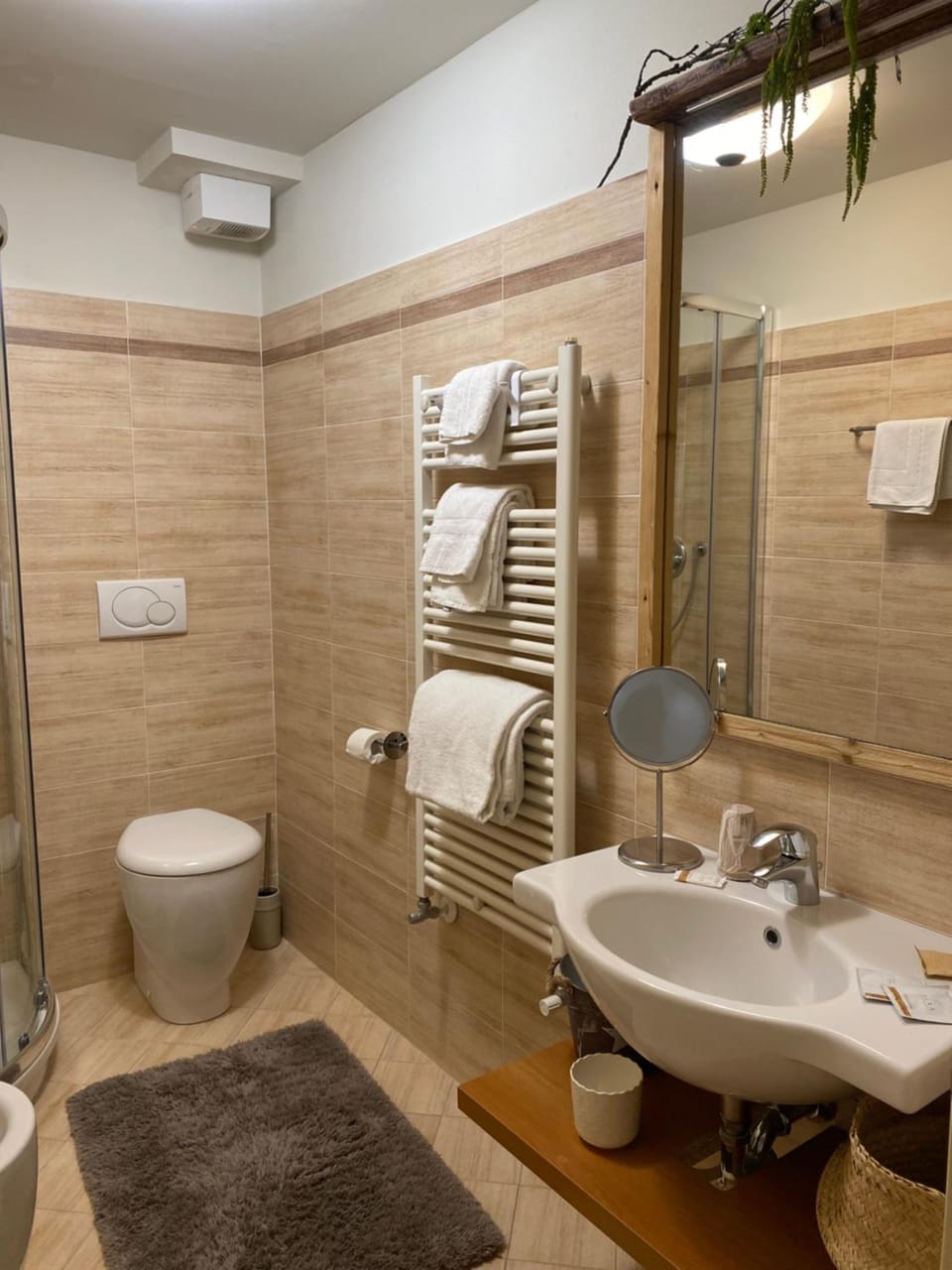 Shower, Toilet, Bathroom, towels