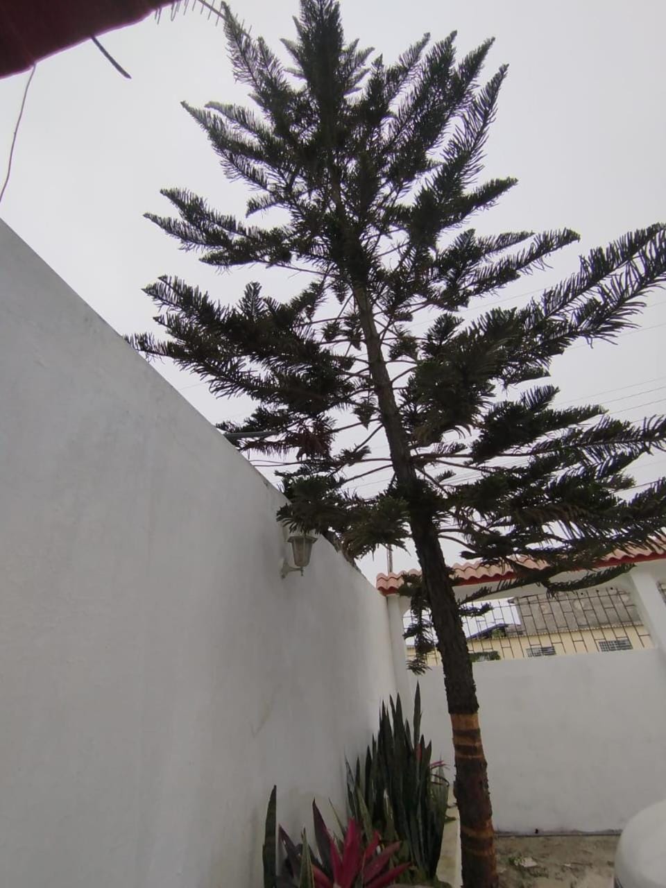 Nice suite near UPSE Apartment in Santa Elena Province