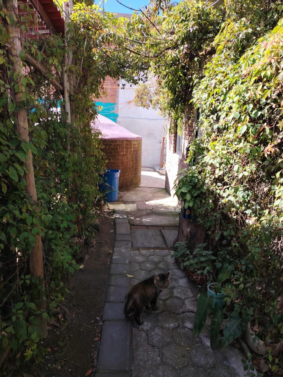 Cuatro Rumbos Hospedaje Inn in Puebla