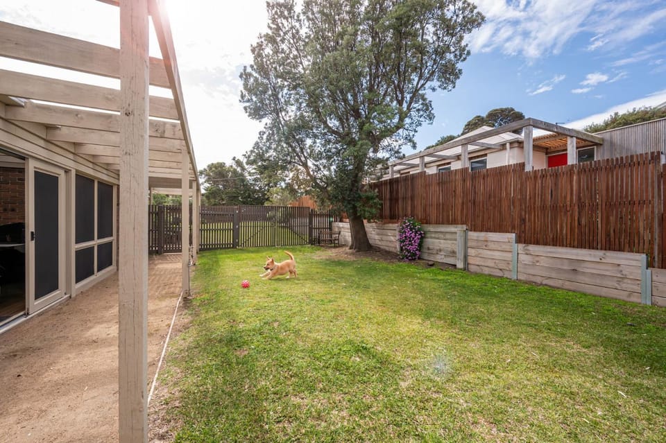 Patio, Garden, Garden view