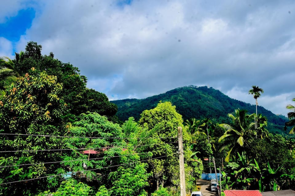 View (from property/room)