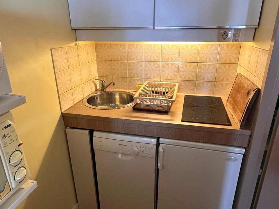 Les Menuires: Bel appt 4 pers, balcon, Wifi, animaux admis - FR-1-574-70 Apartment in Les Allues
