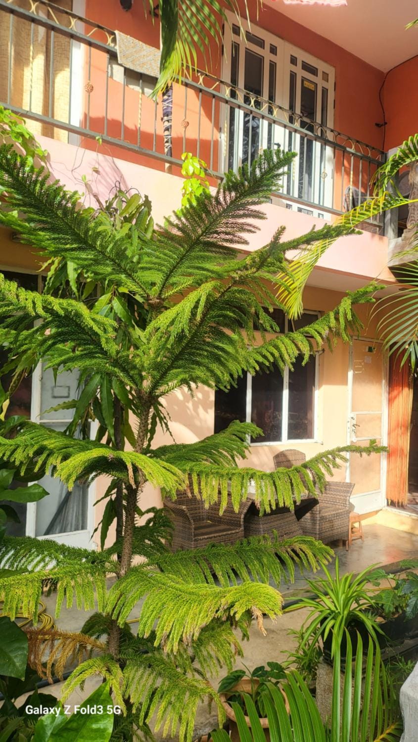 Chambre Studio Bas Prix Bed and Breakfast in Mauritius